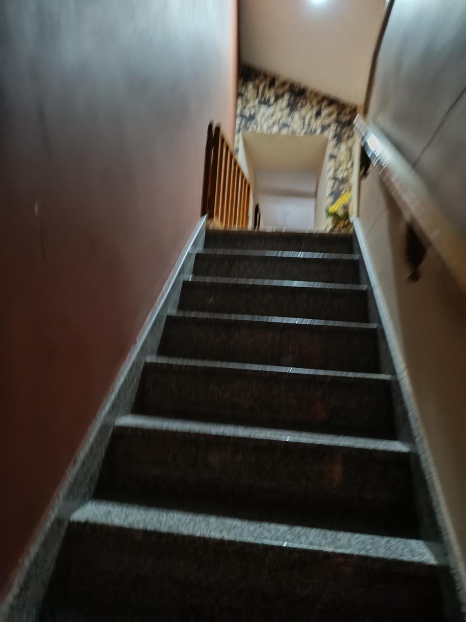 Apartamento Edita لوغو المظهر الخارجي الصورة